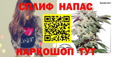 мдпв Рузаевка